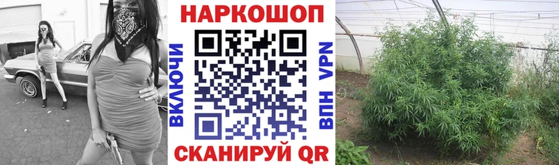 Виды наркоты Сосенский Бошки Шишки  КОКАИН  A-PVP  МЕФ  Гашиш 