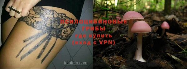 каннабис Алексеевка