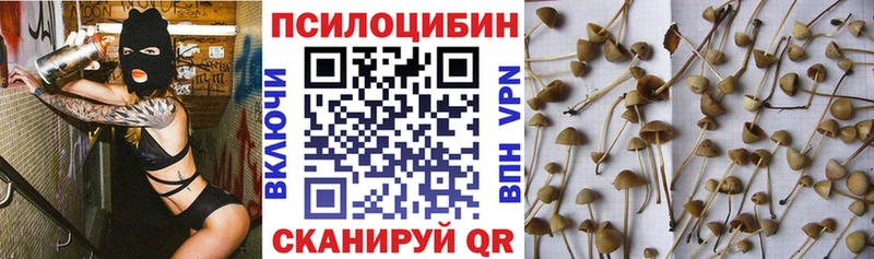 магазин  наркотиков  omg ТОР  Галлюциногенные грибы MAGIC MUSHROOMS  Сосенский 